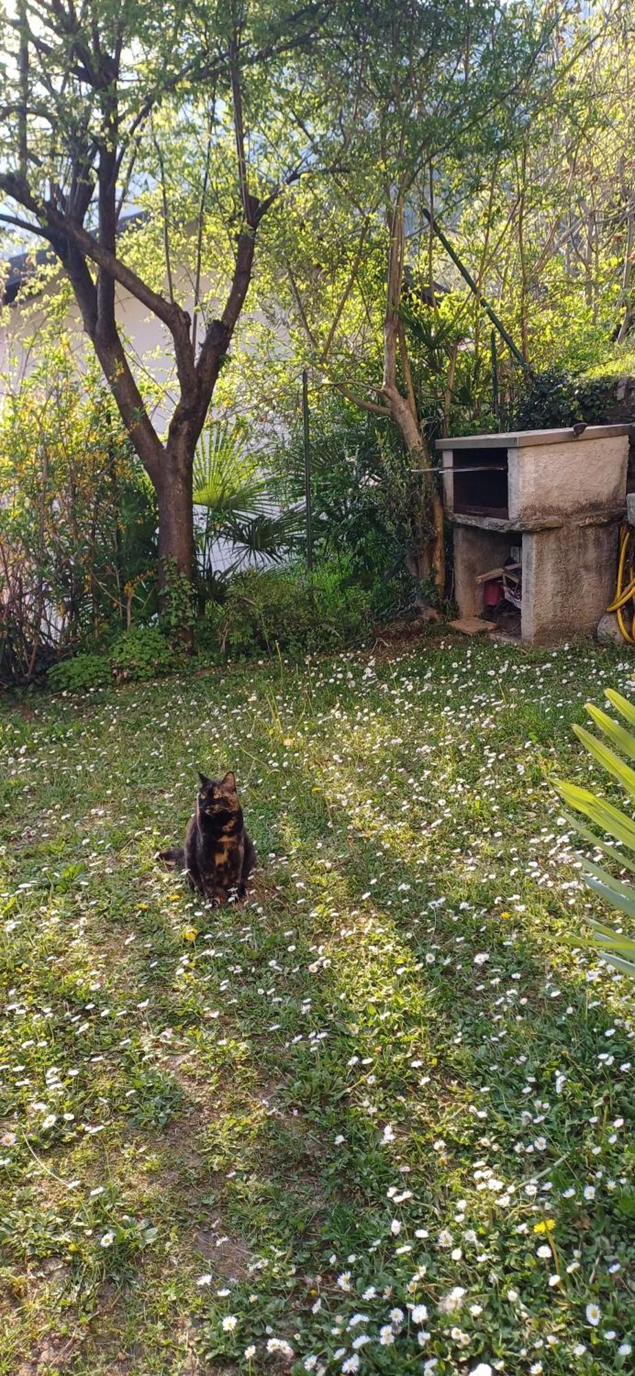 Casa Vista Lago E Giardino Πορλέτσα Εξωτερικό φωτογραφία
